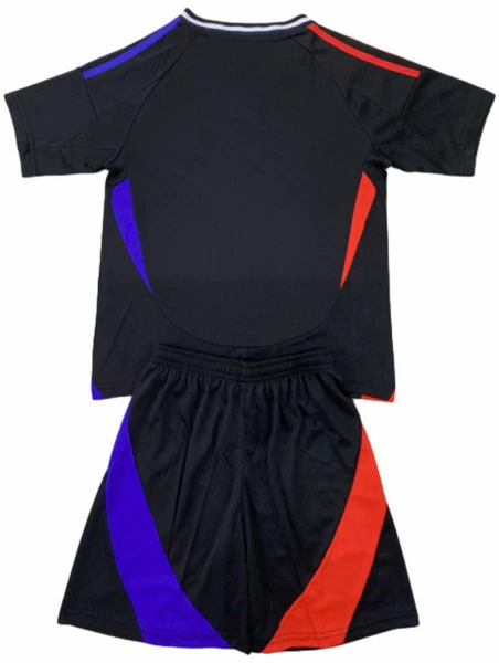 Lyon Tröja 2024 2025 | trojzonen