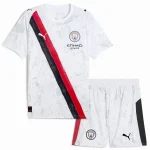 Manchester City Tröja 2025 2026 | trojzonen