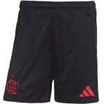 Flamengo Tröja 2025 2026 | trojzonen