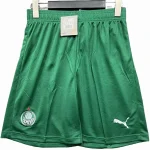 SE Palmeiras Tröja 2025 2026 | trojzonen