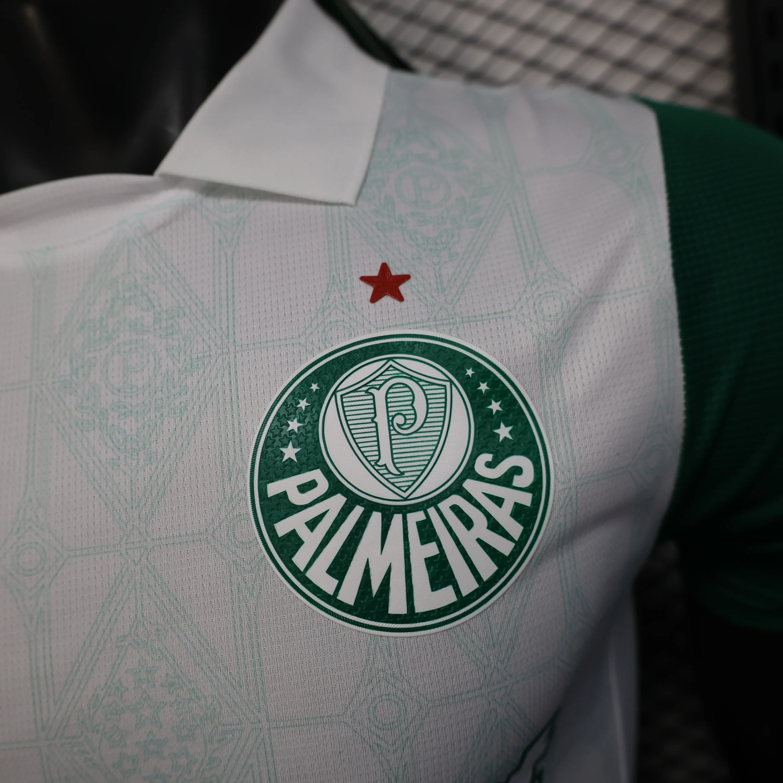 SE Palmeiras Tröja 2025 2026 | trojzonen