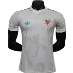 Wales Tröja 2026 - Wales Fotbollströja | trojzonen