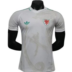 Wales Tröja 2026 - Wales Fotbollströja | trojzonen