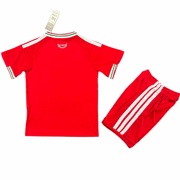 Tröja 2026 - Wales Barn Fotbollströja | trojzonen