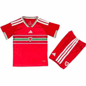 Tröja 2026 - Wales Barn Fotbollströja | trojzonen