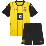 Borussia Dortmund Tröja 2024 2025 | trojzonen