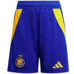 Tröja 2024 2025 - Al-Nassr FC Tröja | trojzonen