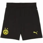 Borussia Dortmund Tröja 2024 2025 | trojzonen