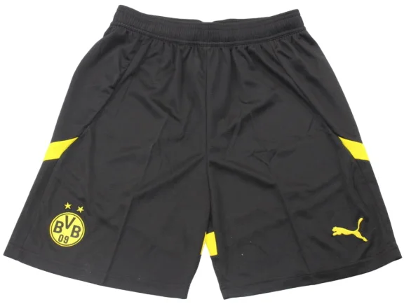 Borussia Dortmund Tröja 2024 2025 | trojzonen