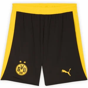 Borussia Dortmund Tröja 2025 2026 | trojzonen
