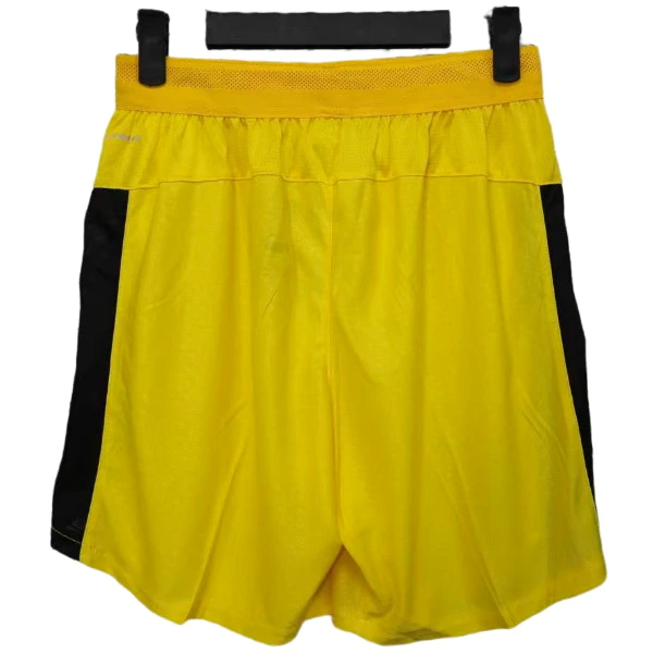 Borussia Dortmund Tröja 2025 2026 | trojzonen