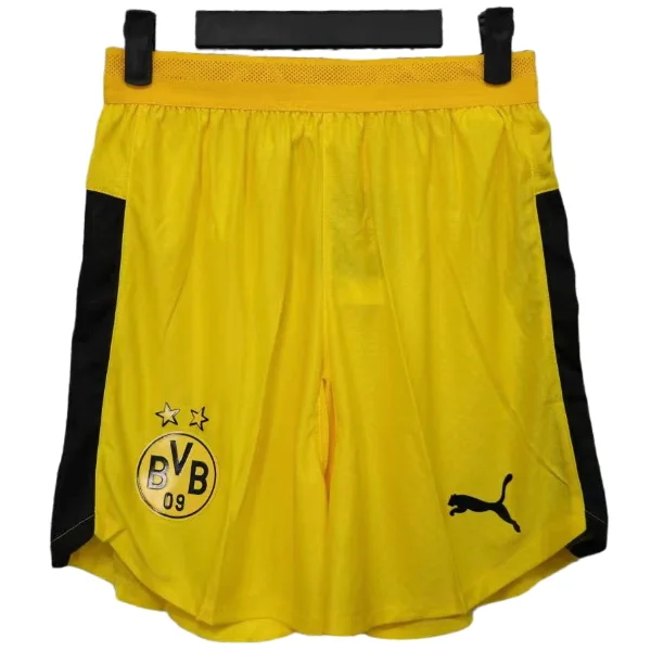 Borussia Dortmund Tröja 2025 2026 | trojzonen