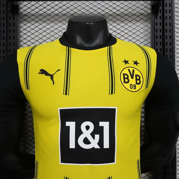 Borussia Dortmund Tröja 2024 2025 | trojzonen