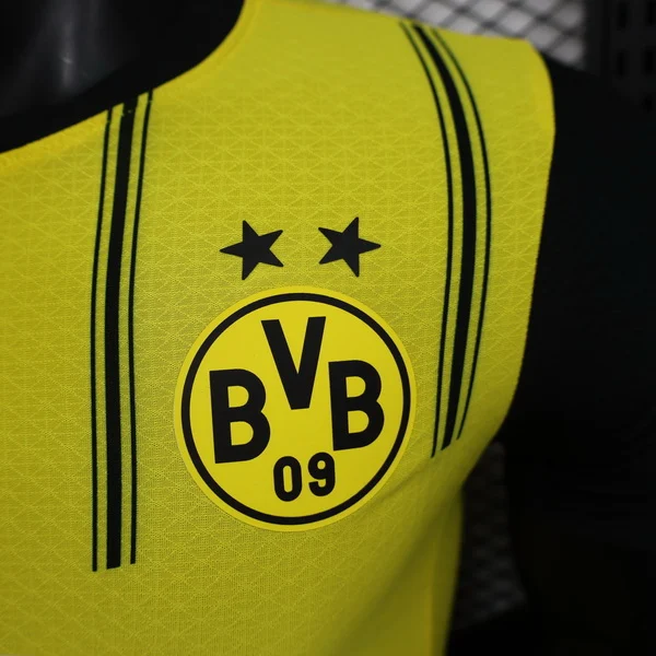 Borussia Dortmund Tröja 2024 2025 | trojzonen