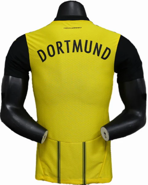 Borussia Dortmund Tröja 2024 2025 | trojzonen