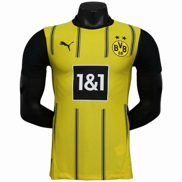 Borussia Dortmund Tröja 2024 2025 | trojzonen