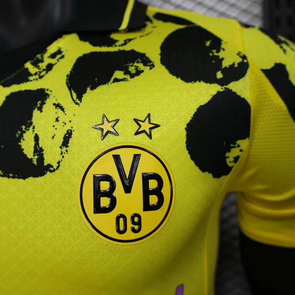 Borussia Dortmund Tröja 2025 2026 | trojzonen