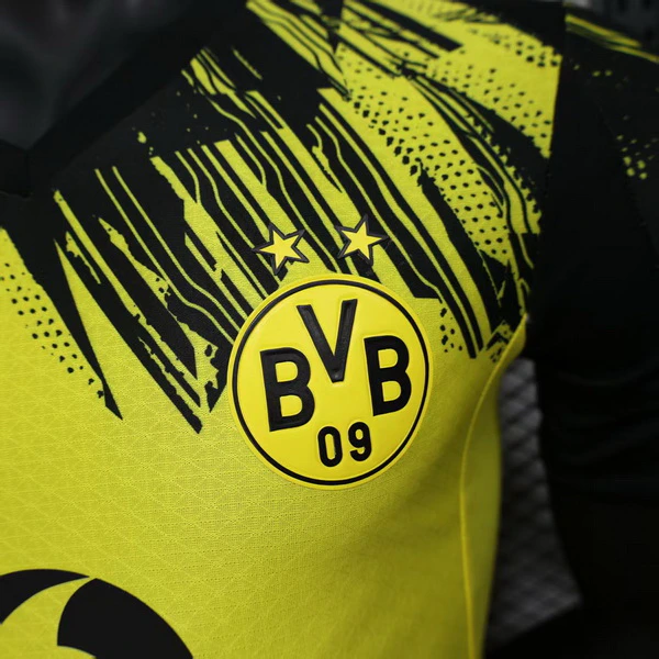 Borussia Dortmund Tröja 2025 2026 | trojzonen