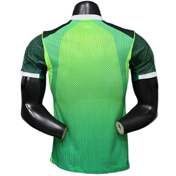 Nigeria Tröja 2026 - Nigeria Tröja 25/26 | trojzonen