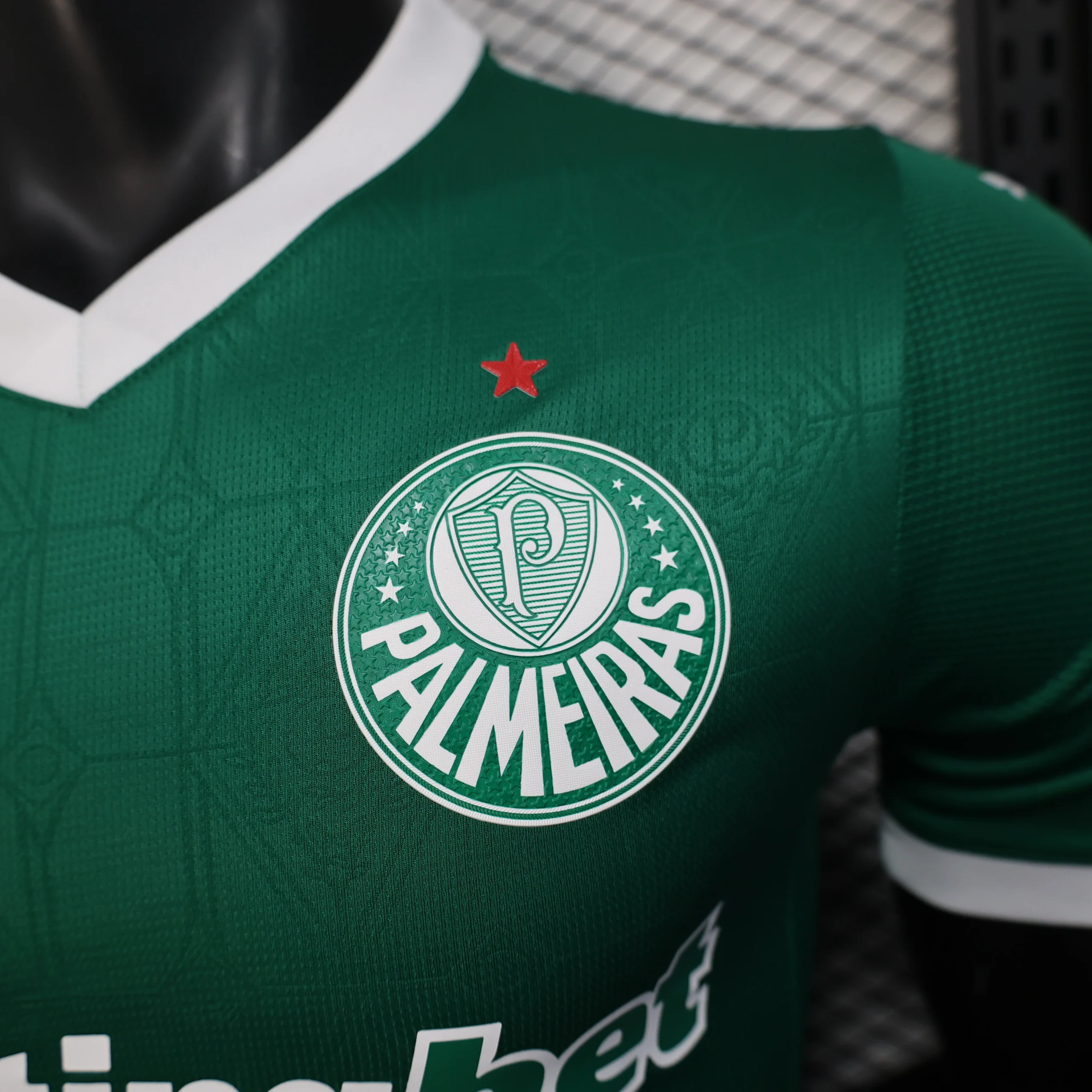 SE Palmeiras Tröja 2025 2026 | trojzonen