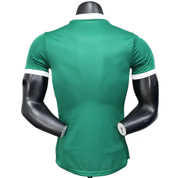 SE Palmeiras Tröja 2025 2026 | trojzonen