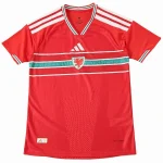 Wales Tröja 2026 - Wales Tröja 25/26 | trojzonen