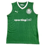 SE Palmeiras Tröja 2025 2026 | trojzonen
