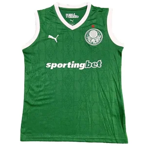 SE Palmeiras Tröja 2025 2026 | trojzonen
