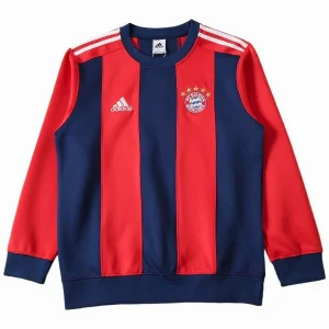 Bayern Munich Tröja 2025 2026 - Träningsjacka Bayern Munich | trojzonen