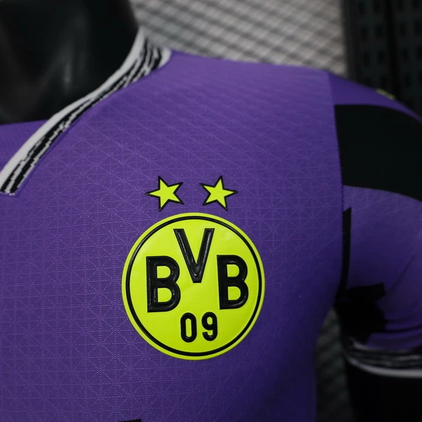 Borussia Dortmund Tröja 2025 2026 | trojzonen