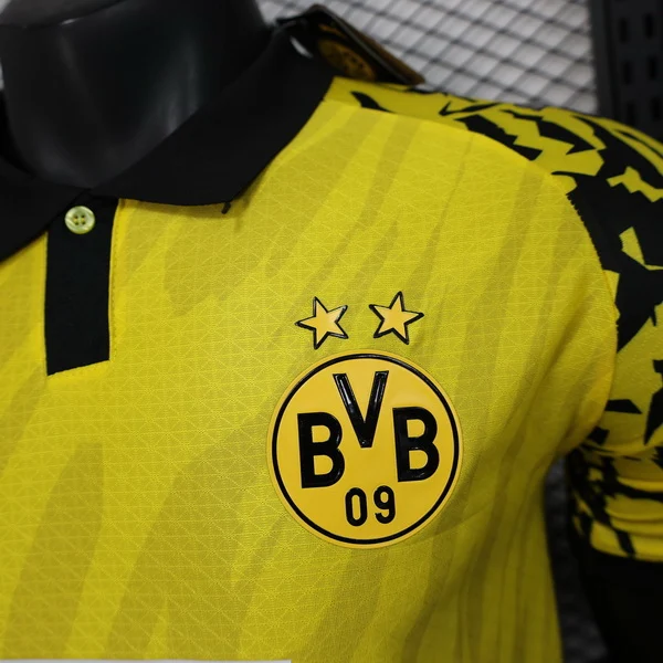Borussia Dortmund Tröja 2025 2026 | trojzonen