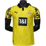 Borussia Dortmund Tröja 2025 2026 | trojzonen