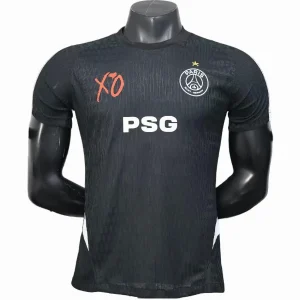 Paris Saint Germain Tröja 2025 2026 | trojzonen
