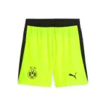 Borussia Dortmund Camiseta 2025 2026 - Borussia Dortmund Tröja | trojzonen
