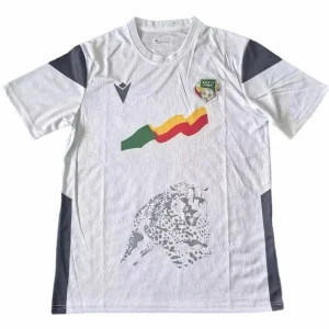 Benin Tröja 2023 - Benin Tröja 2025 | trojzonen