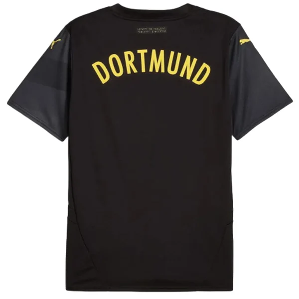 Borussia Dortmund Tröja 2024 2025 | trojzonen