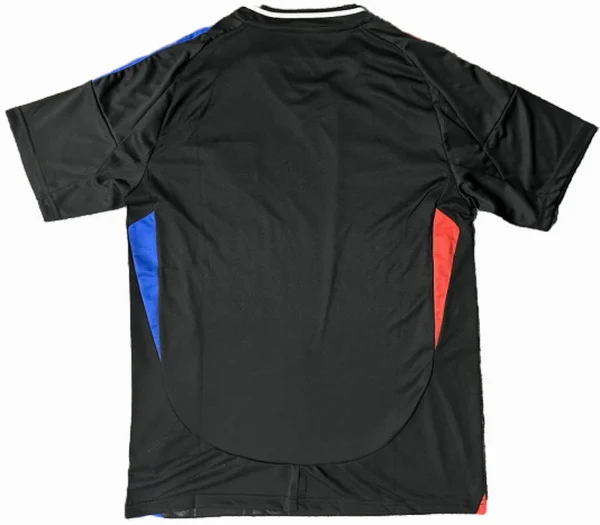 Lyon Tröja 2024 2025 | trojzonen