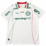 SE Palmeiras Tröja 2026 2027 | trojzonen