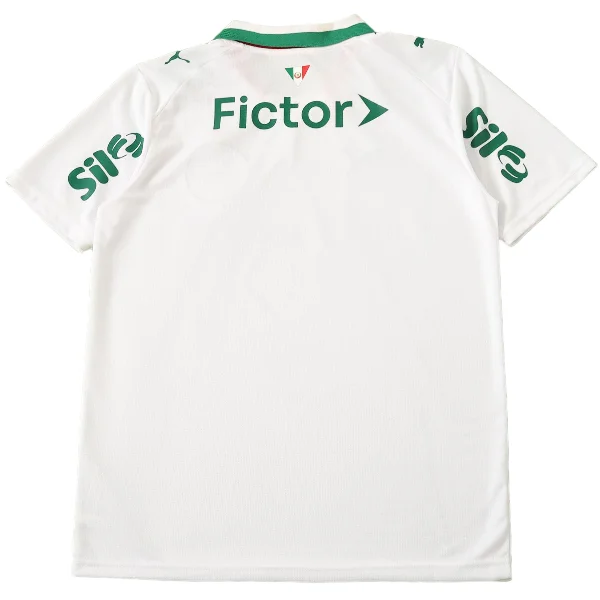 SE Palmeiras Tröja 2026 2027 | trojzonen