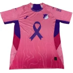 Hoffenheim Tröja 2025 2026 Rosa - Hoffenheim Tröja 25/26 | trojzonen