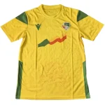 Benin Tröja 2023 - Benin Tröja 2025 | trojzonen