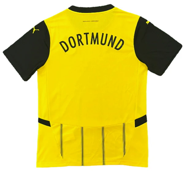 Borussia Dortmund Tröja 2024 2025 | trojzonen