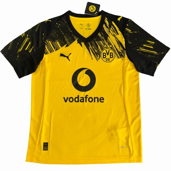 Borussia Dortmund Tröja 2025 2026 | trojzonen