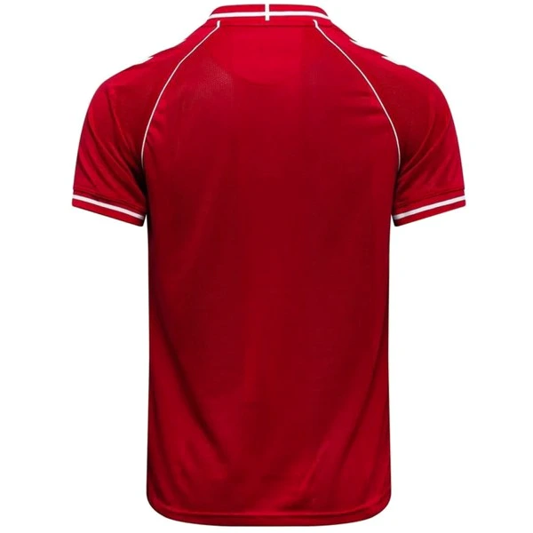 Danmark Tröja 2026 - Danmark Tröja 25/26 | trojzonen