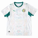 Senegal Tröja 2026 - Senegal Tröja 2025 | trojzonen