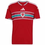 Wales Tröja 2026 - Wales Fotbollströja | trojzonen