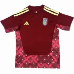 Italien Tröja 2026 - Italien Fotbollströja 25/26 | trojzonen