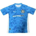 SE Palmeiras Tröja 2025 2026 | trojzonen