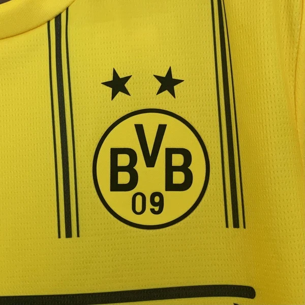 Borussia Dortmund Tröja 2025 2026 | trojzonen