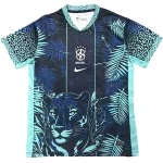 Brasilien Tröja 2026 | trojzonen
